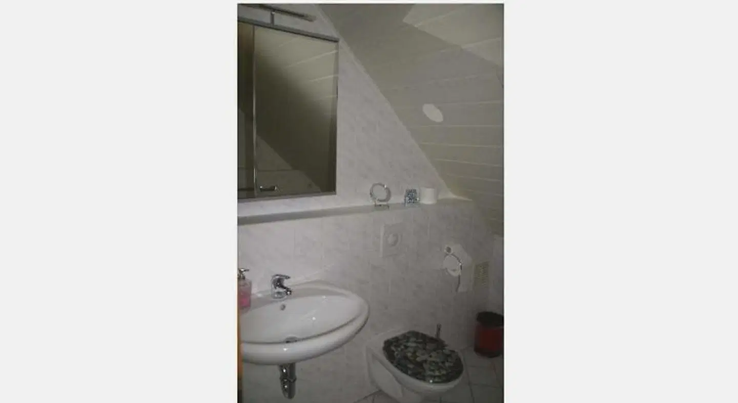 Ferienhof an der Weide in Gohrisch Badezimmer
