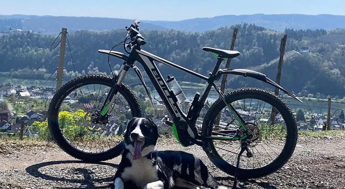 Hotel Mosella SPORTS_AND_LEISURE