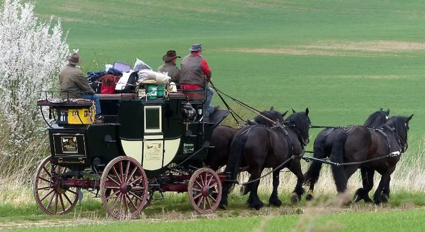 Ferienwohnungen Gasthof am Sonnenstein Tiere