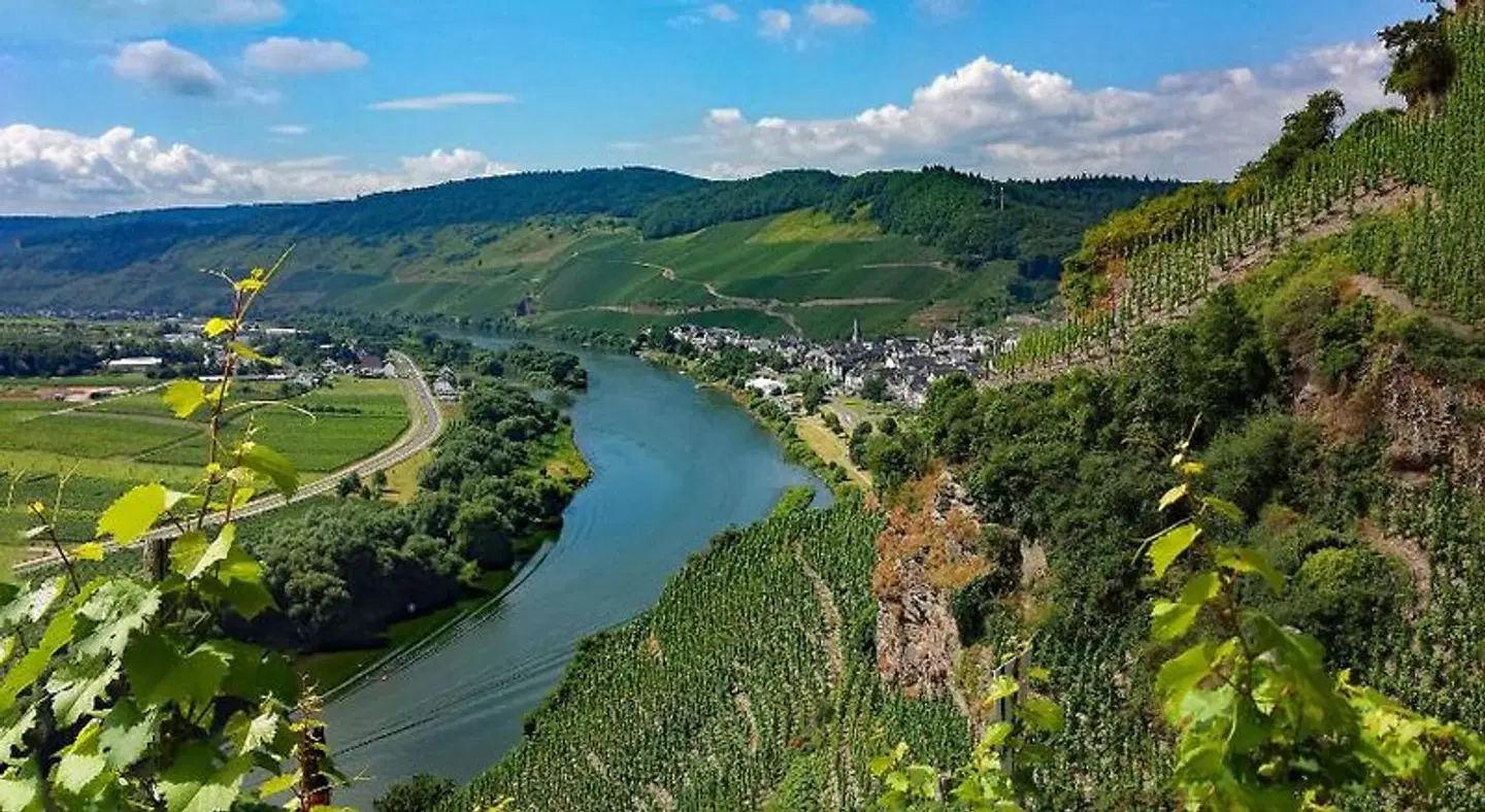 Weingut & Gästehaus Gerlach LANDSCAPE