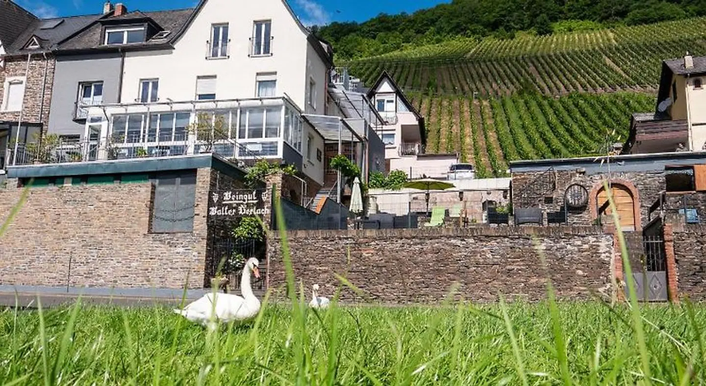 Weingut & Gästehaus Gerlach Tiere