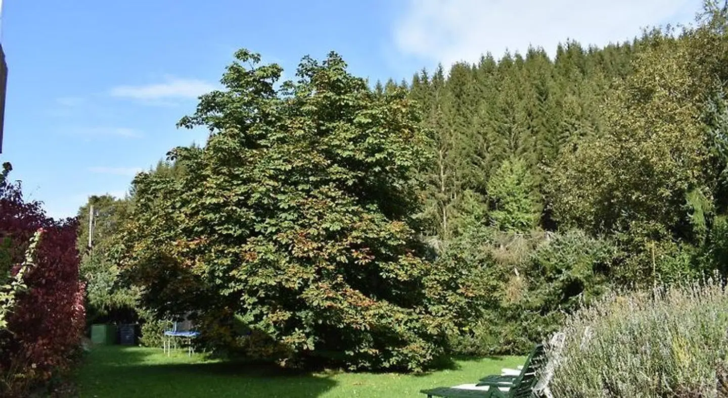 Ferienwohnung Sternkopf LANDSCAPE