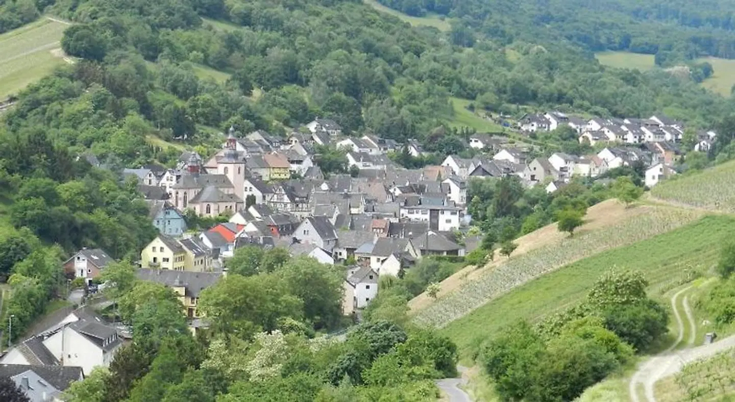 Weingut - Pension Stassen LANDSCAPE