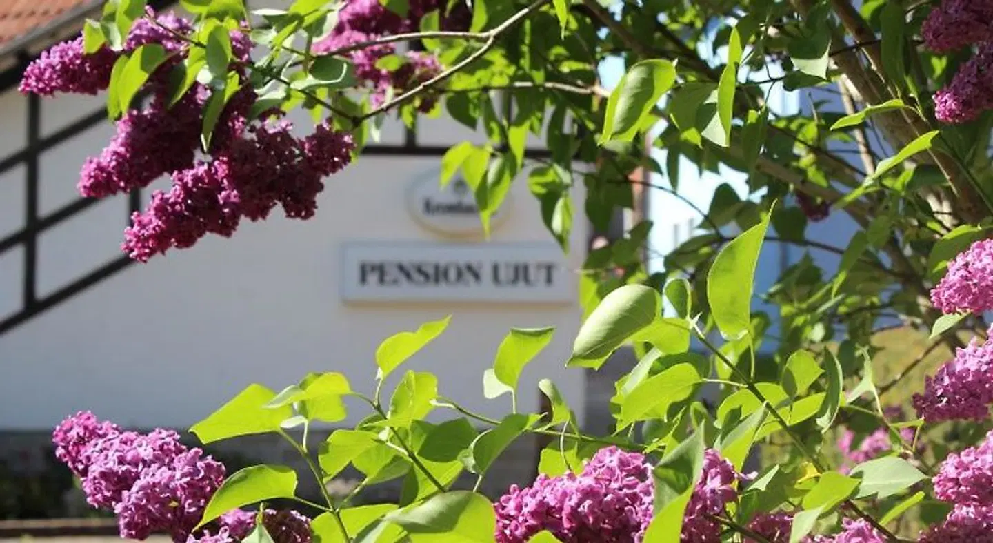 Pension Ujut LANDSCAPE