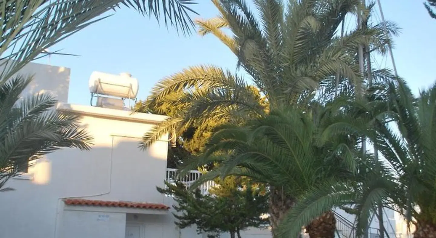 Flisvos Beach Apartments Tiere
