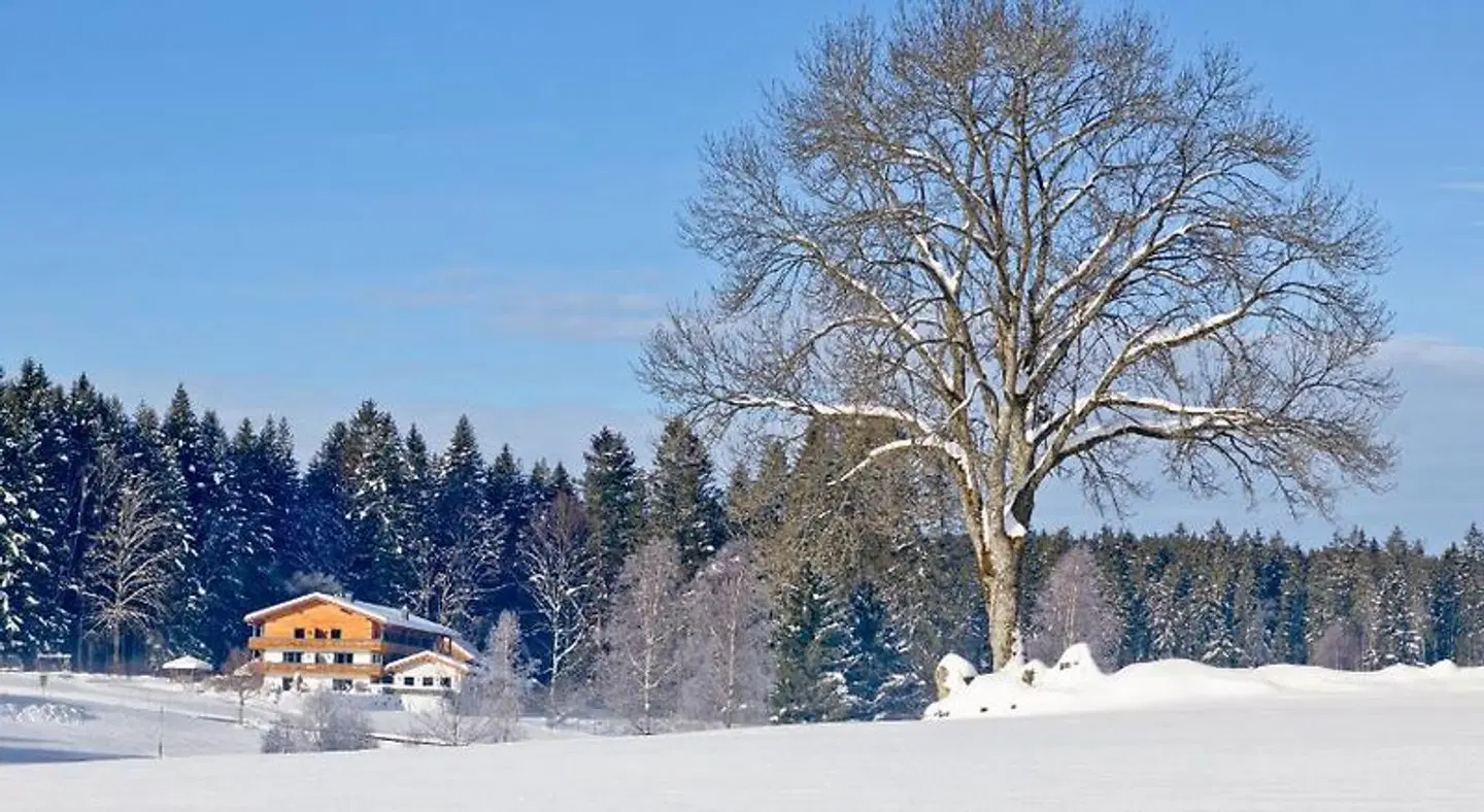Moorhof LANDSCAPE