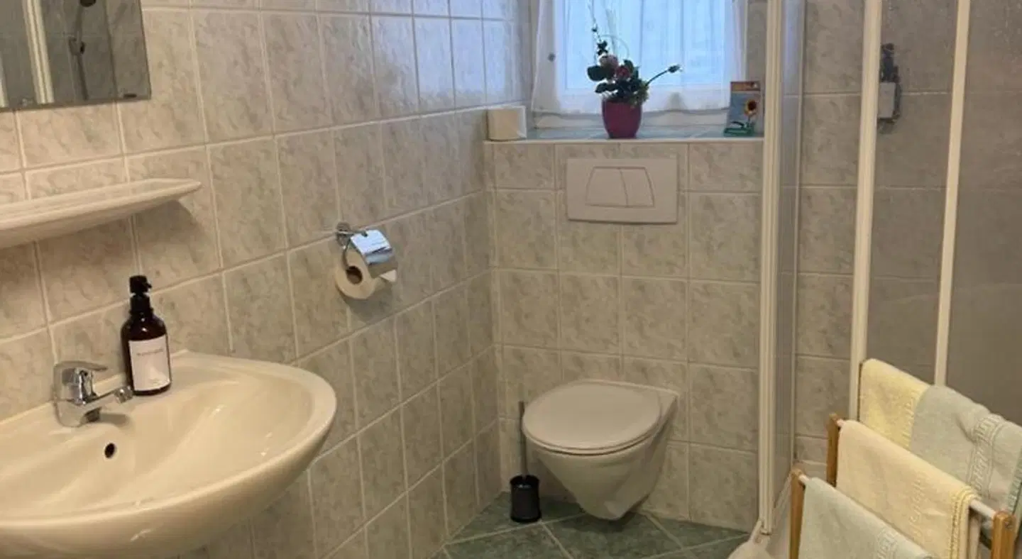 Ferienhof Osl Badezimmer