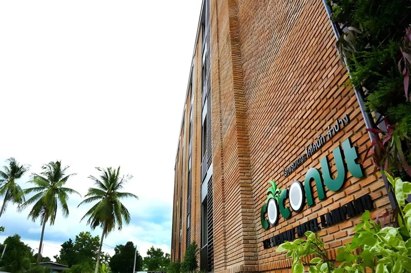 The Coconut Hotel EXTERIOR