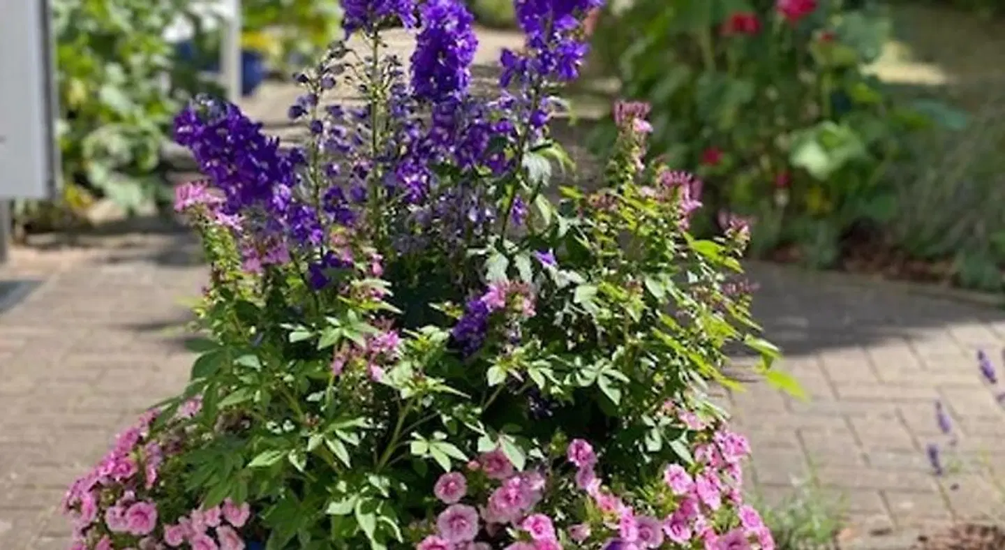 Waldperle Garten