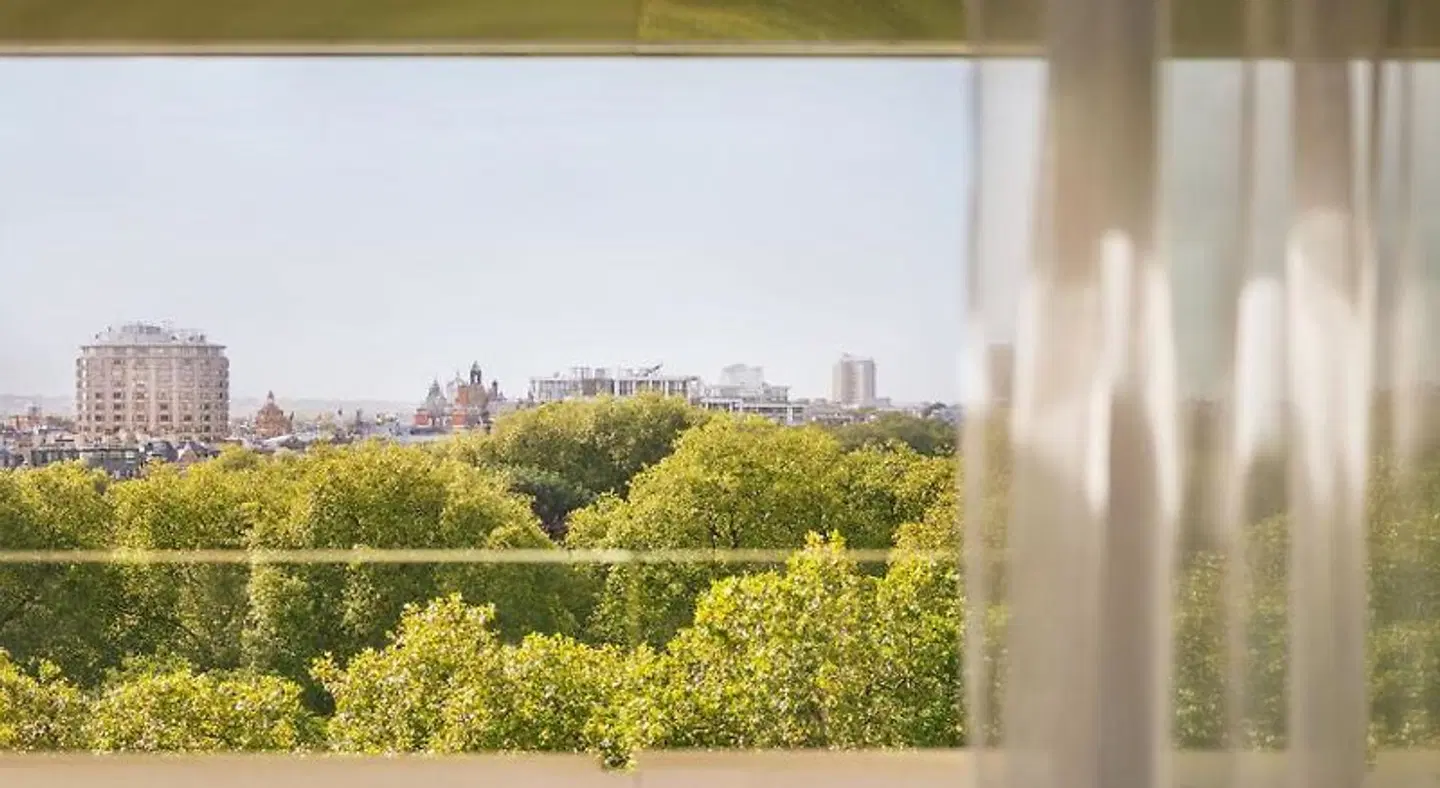 45 Park Lane Garten