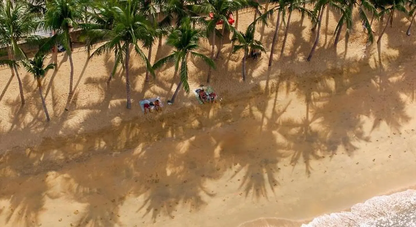 Welcome World Beach Resort & Spa LANDSCAPE