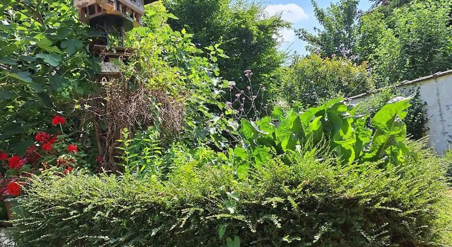 Bed & Breakfast Exterlaer Garten