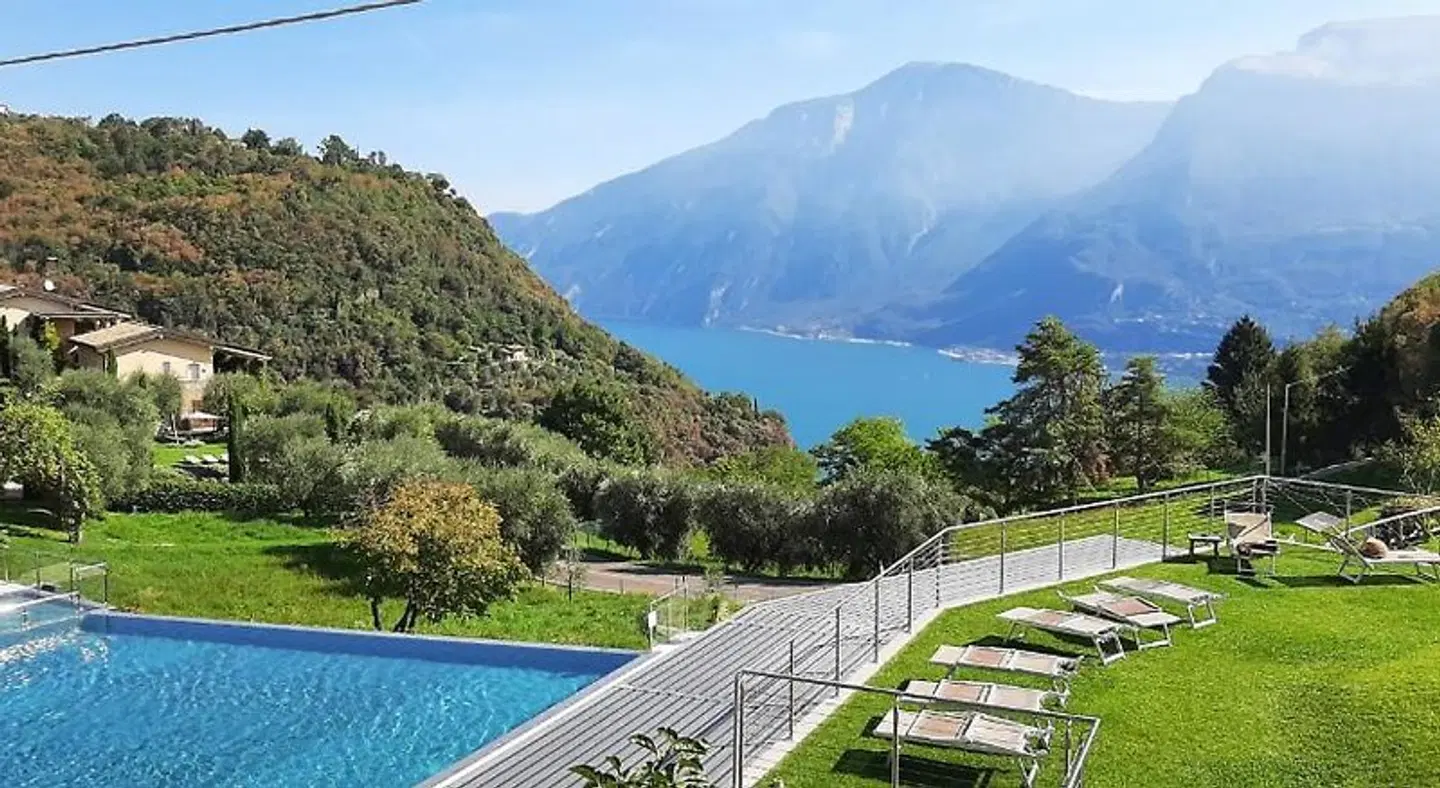 Stella d'Oro LANDSCAPE