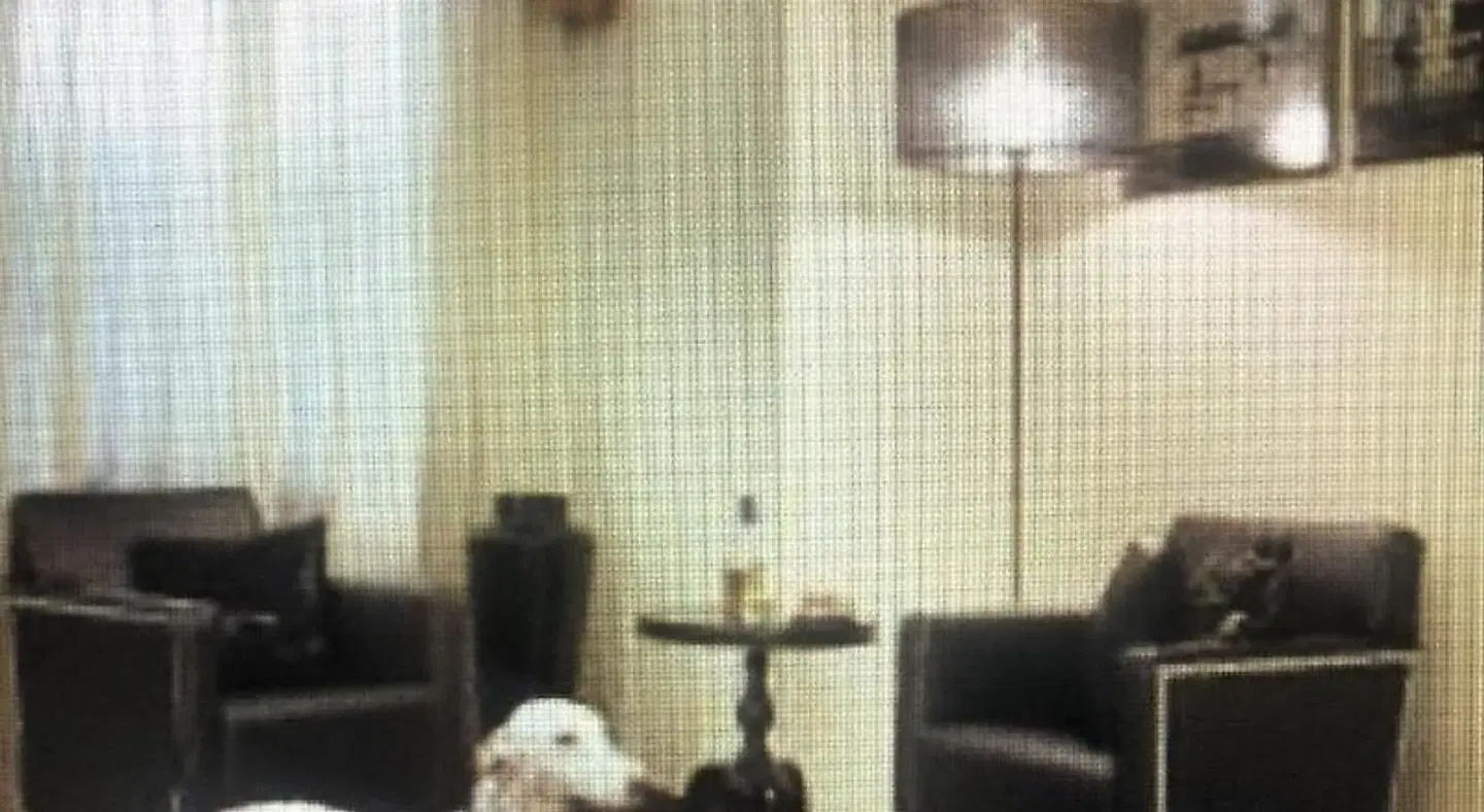 ACasaMia WelcHome Hotel Tiere