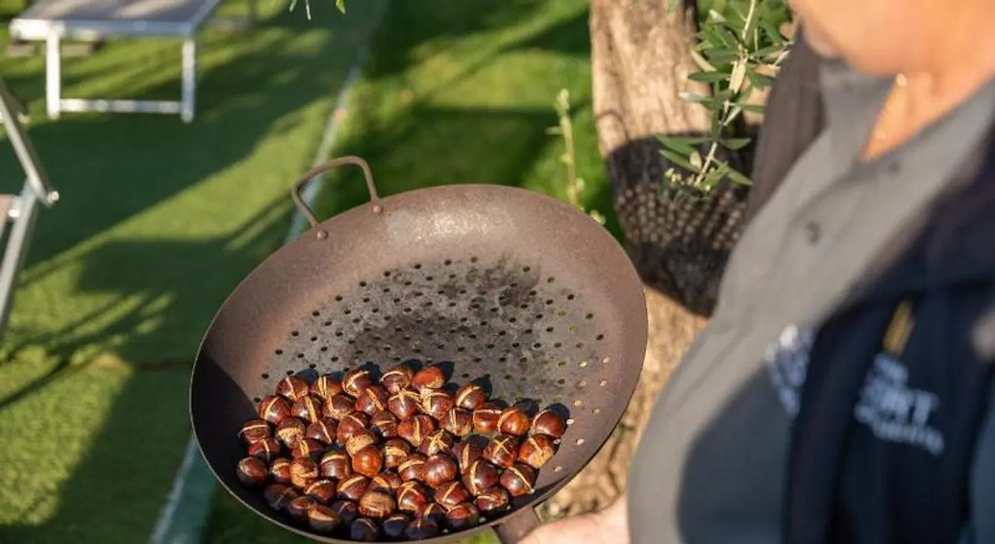 Hotel Schwefelbad HEALTH_BEAUTY