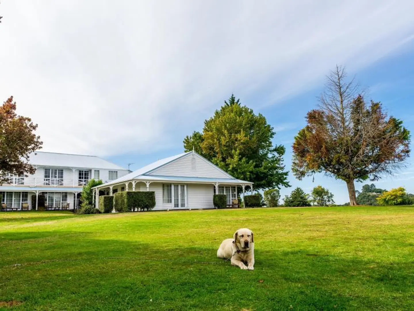 VR Rotorua Lake Resort Tiere