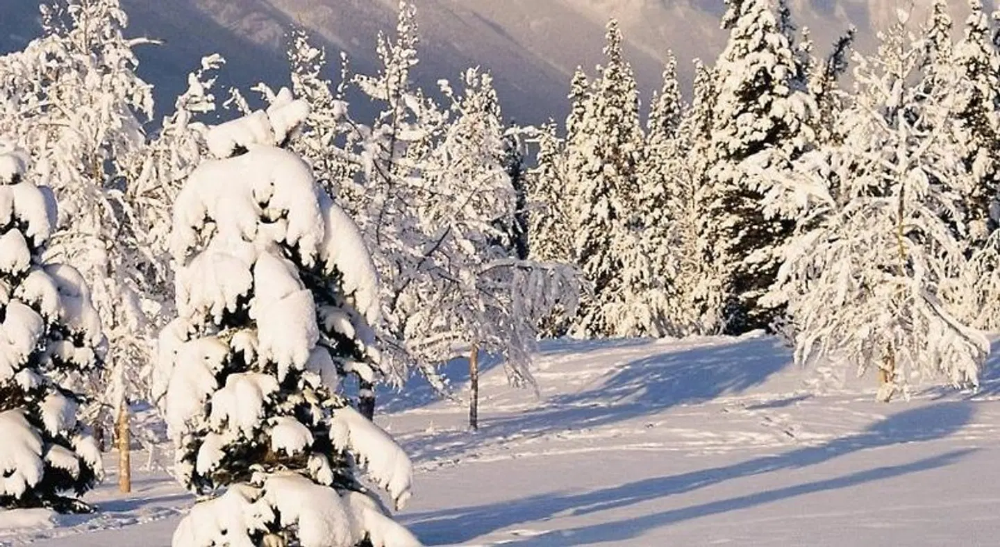 Club Wyndham Durango LANDSCAPE