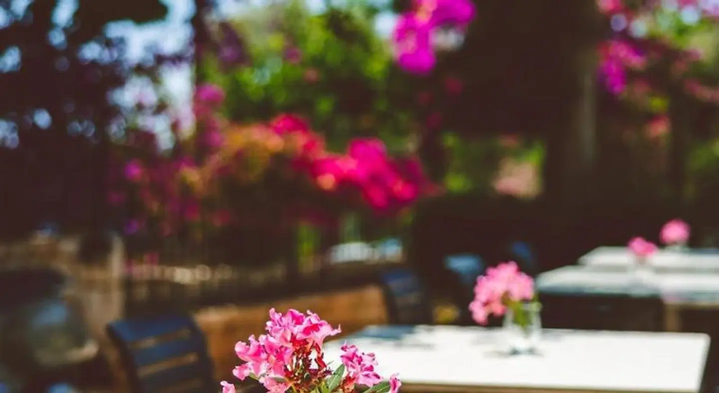 Livia Hotel Garten