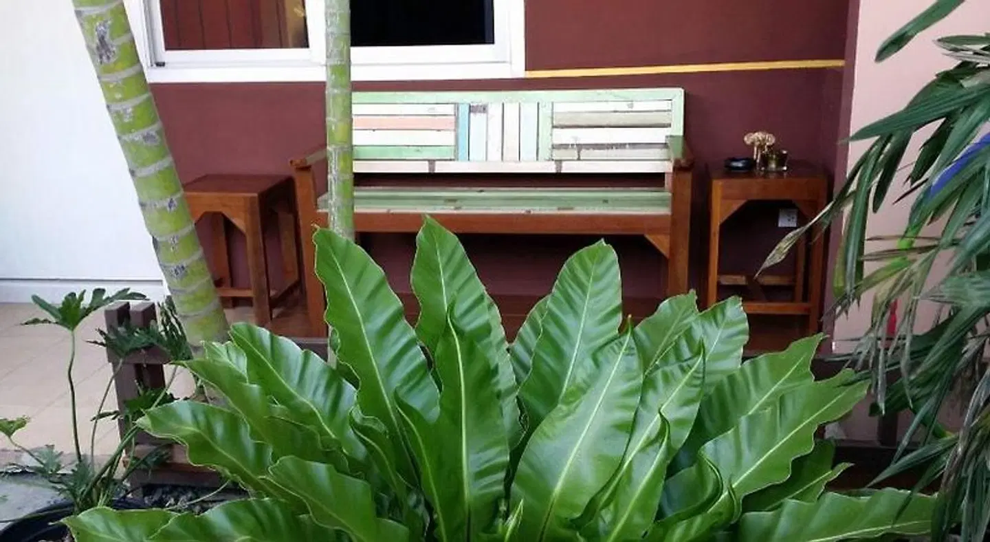 Baan Baimai Boutique Room Restaurant