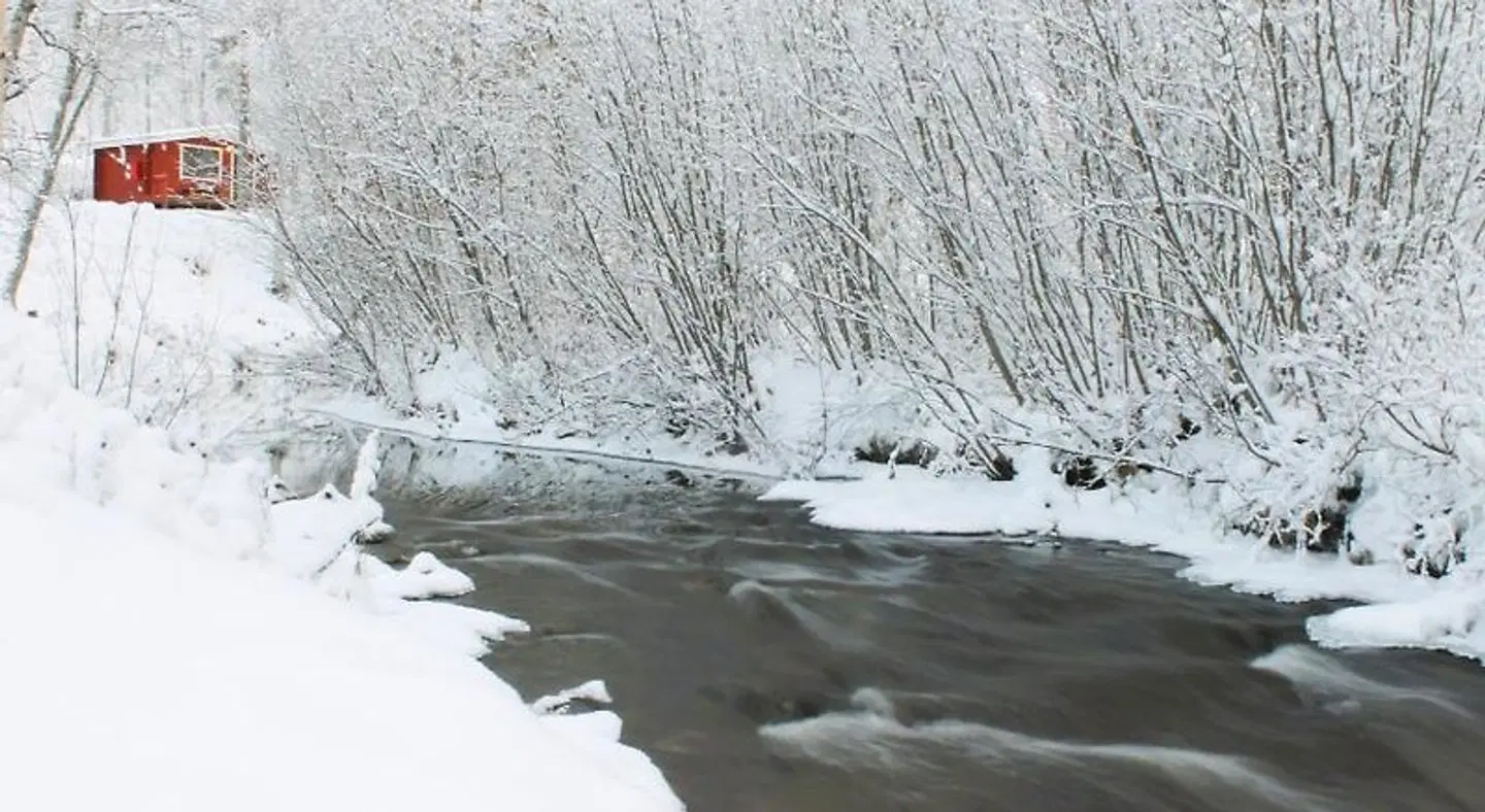 Ivalo River Camping LANDSCAPE