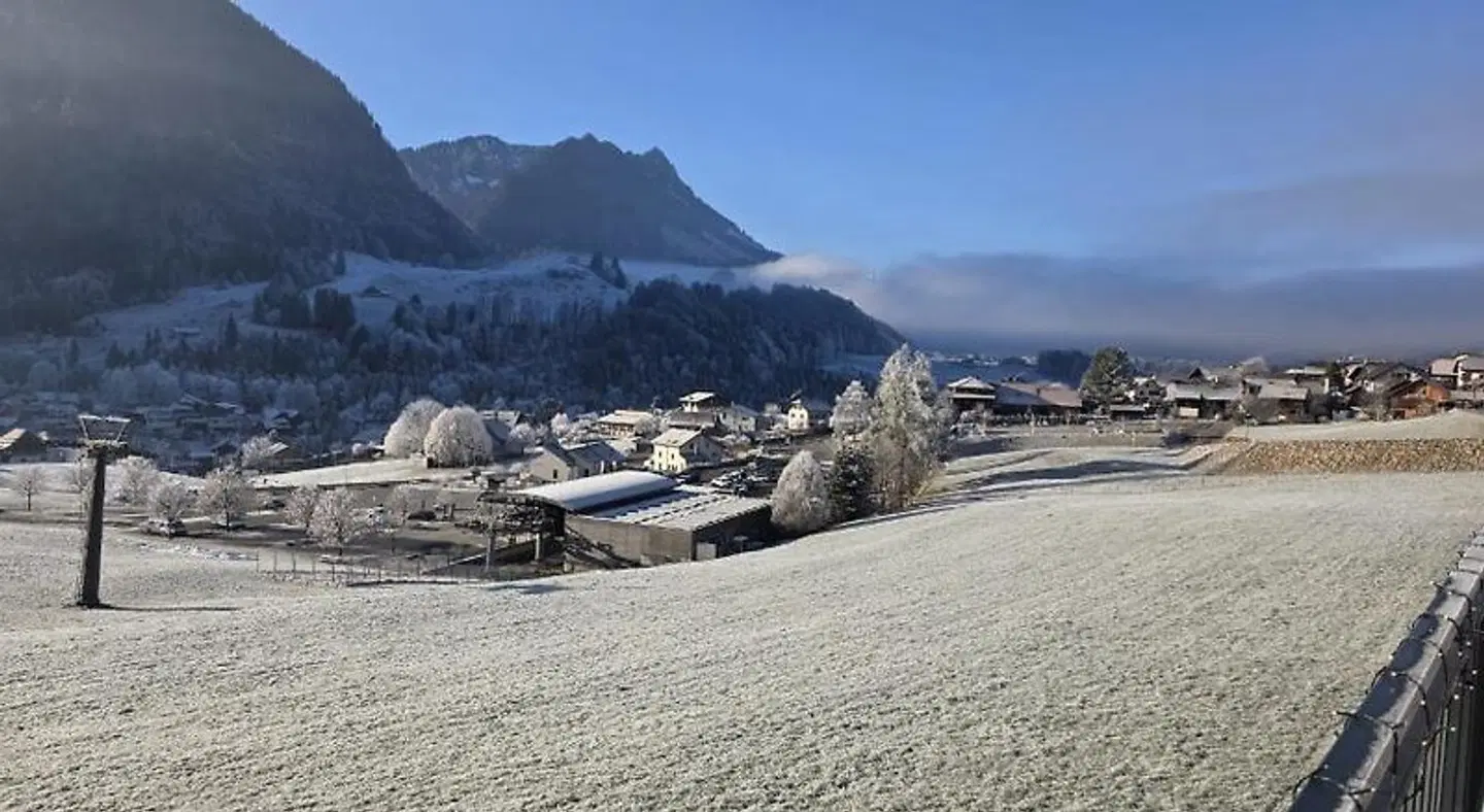 Studios Bellevue LANDSCAPE