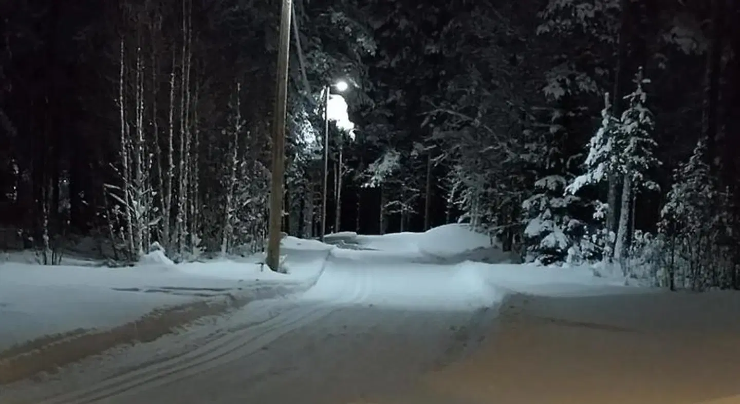STF Orsa Hostel LANDSCAPE
