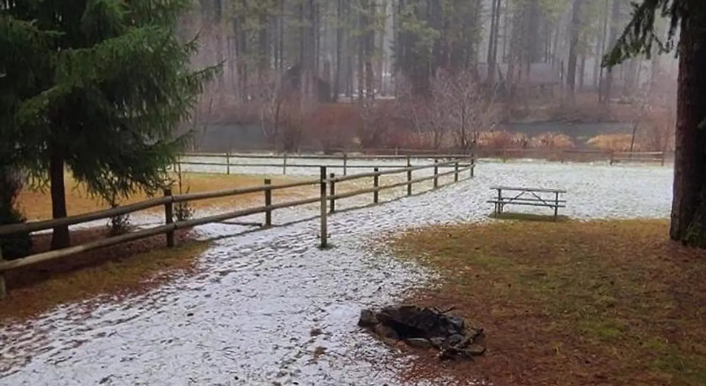 Cold Springs Resort LANDSCAPE