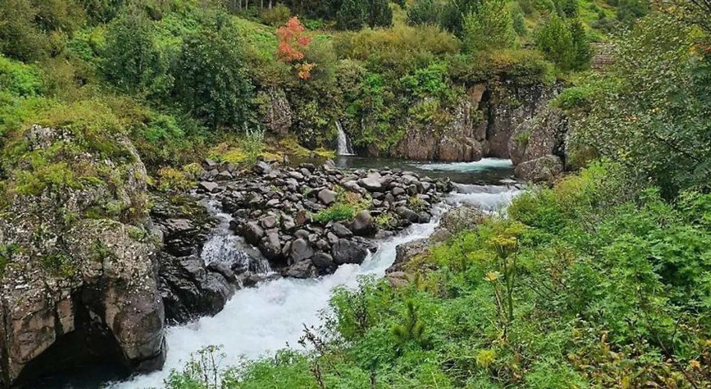 Austur LANDSCAPE