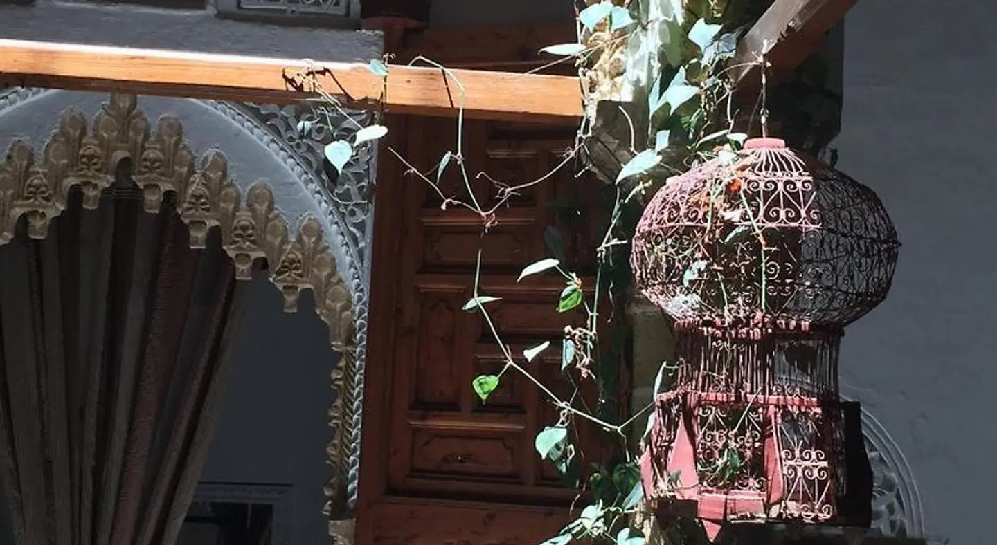 Riad Marhaba Tiere