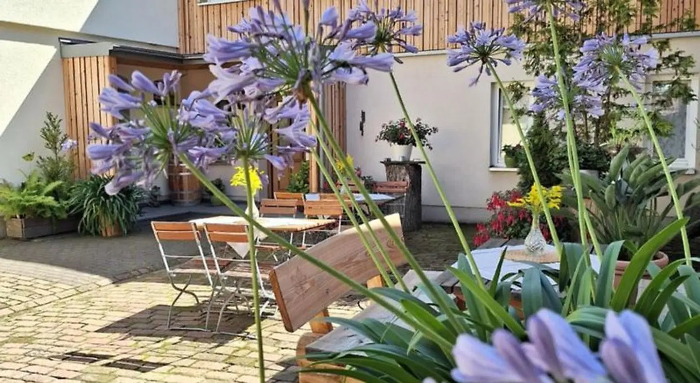 Pension Kastanienhof Terrasse
