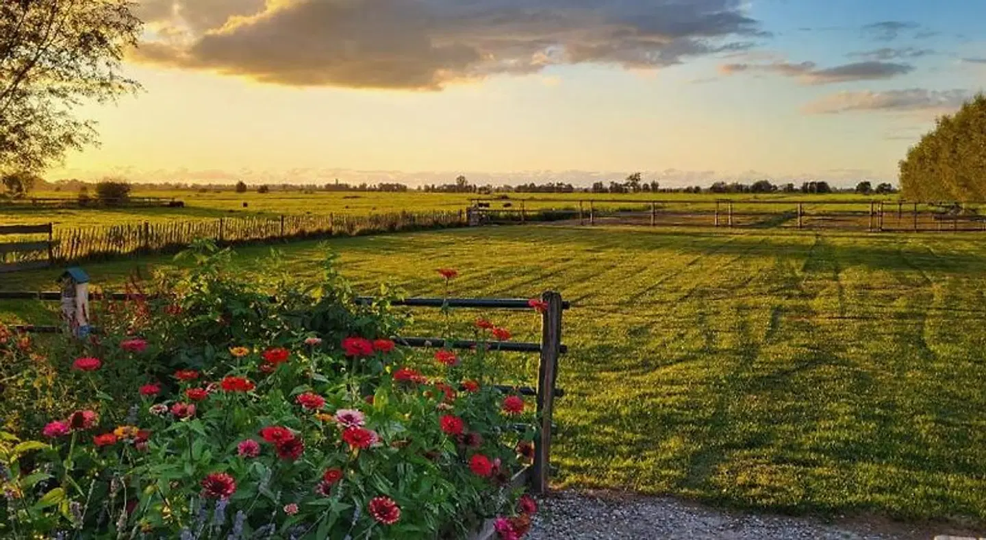 Het Groene Wout LANDSCAPE