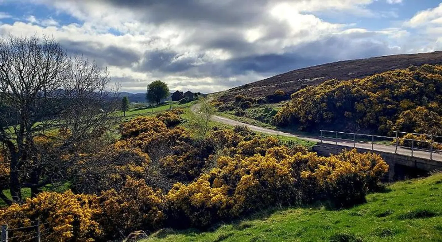 Glen Lodges LANDSCAPE