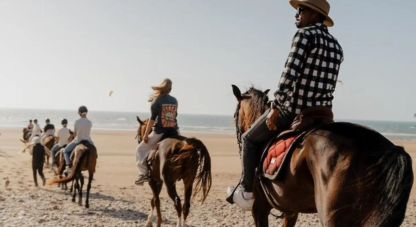 Surf HouseMaroc Tiere