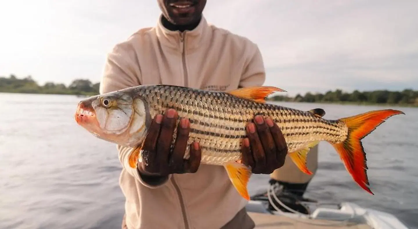 Ichingo Chobe River lodge by Mantis PEOPLE