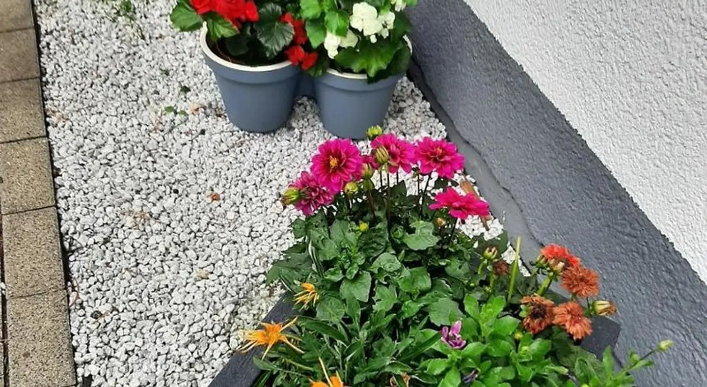 Willingen Berghotel Garten