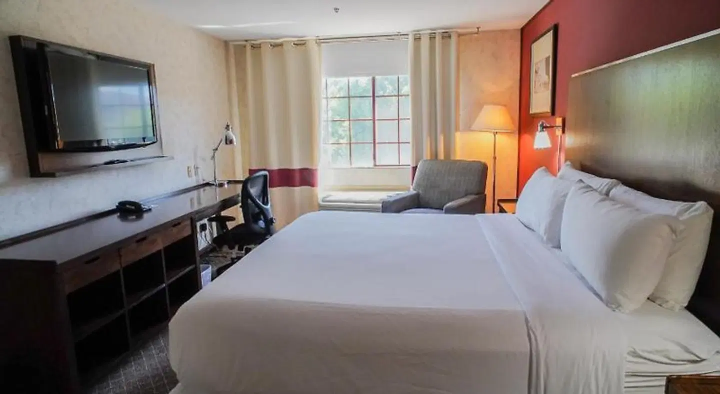 Wyndham Garden San Jose Silicon Valley ROOM_EXAMPLE
