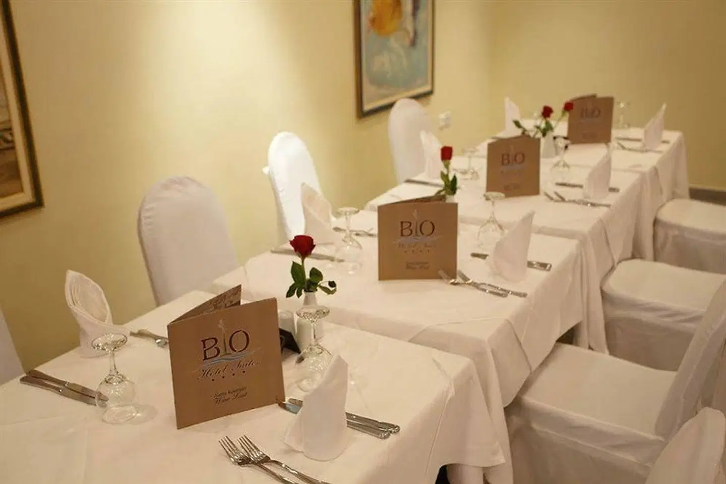Bio Suites Hotel Konferenz