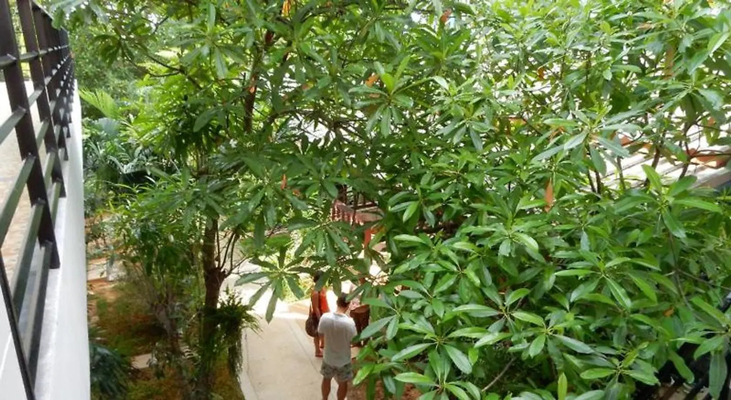 Khaolak Wandee Hostel LANDSCAPE