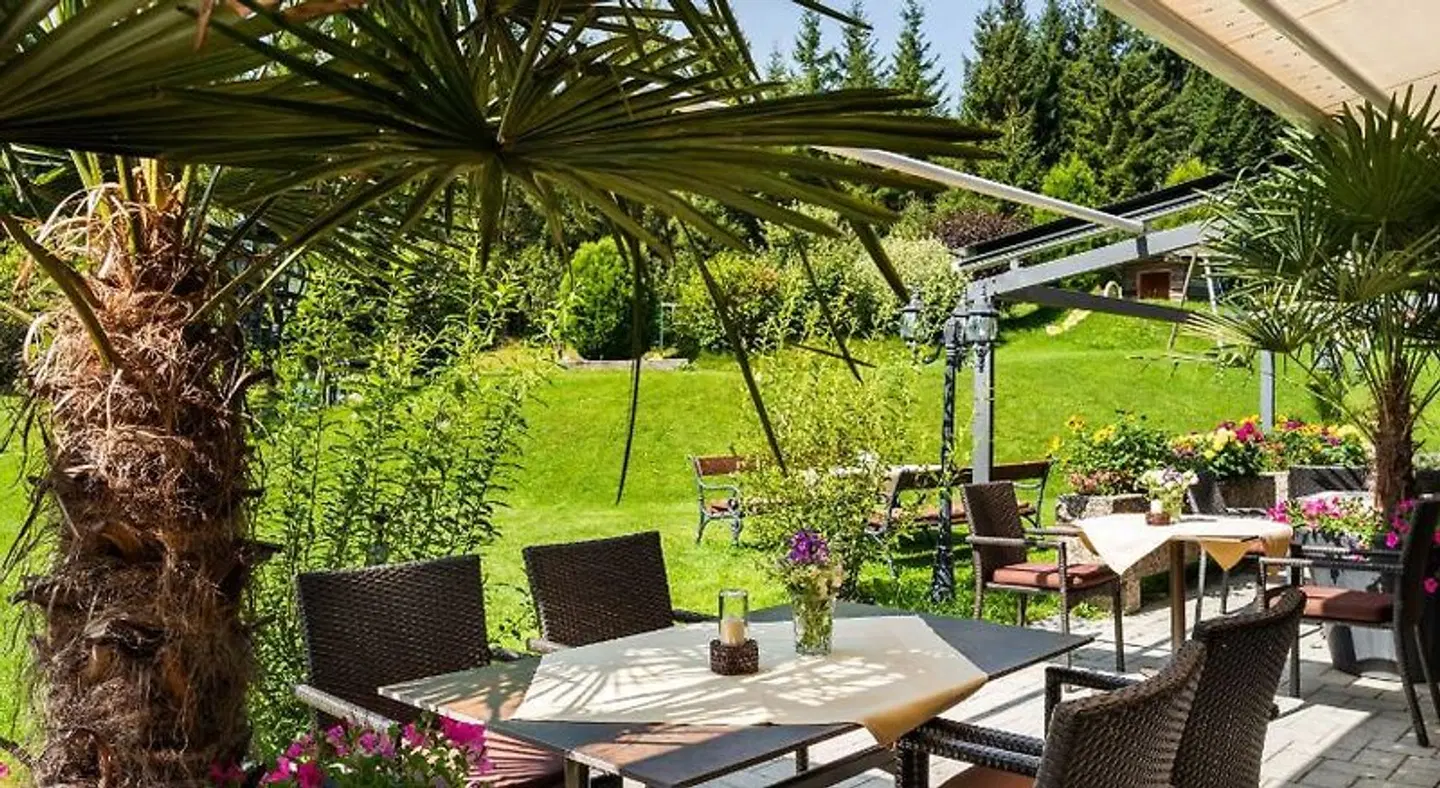 Hotel Hubertus Terrasse