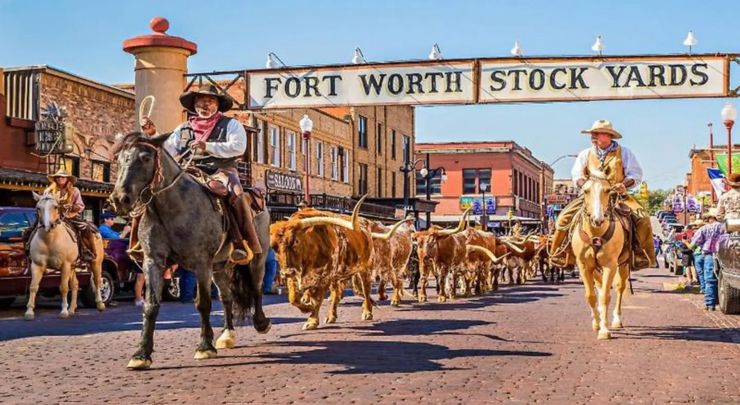 Staybridge Suites Fort Worth Fossil Creek by IHG Tiere