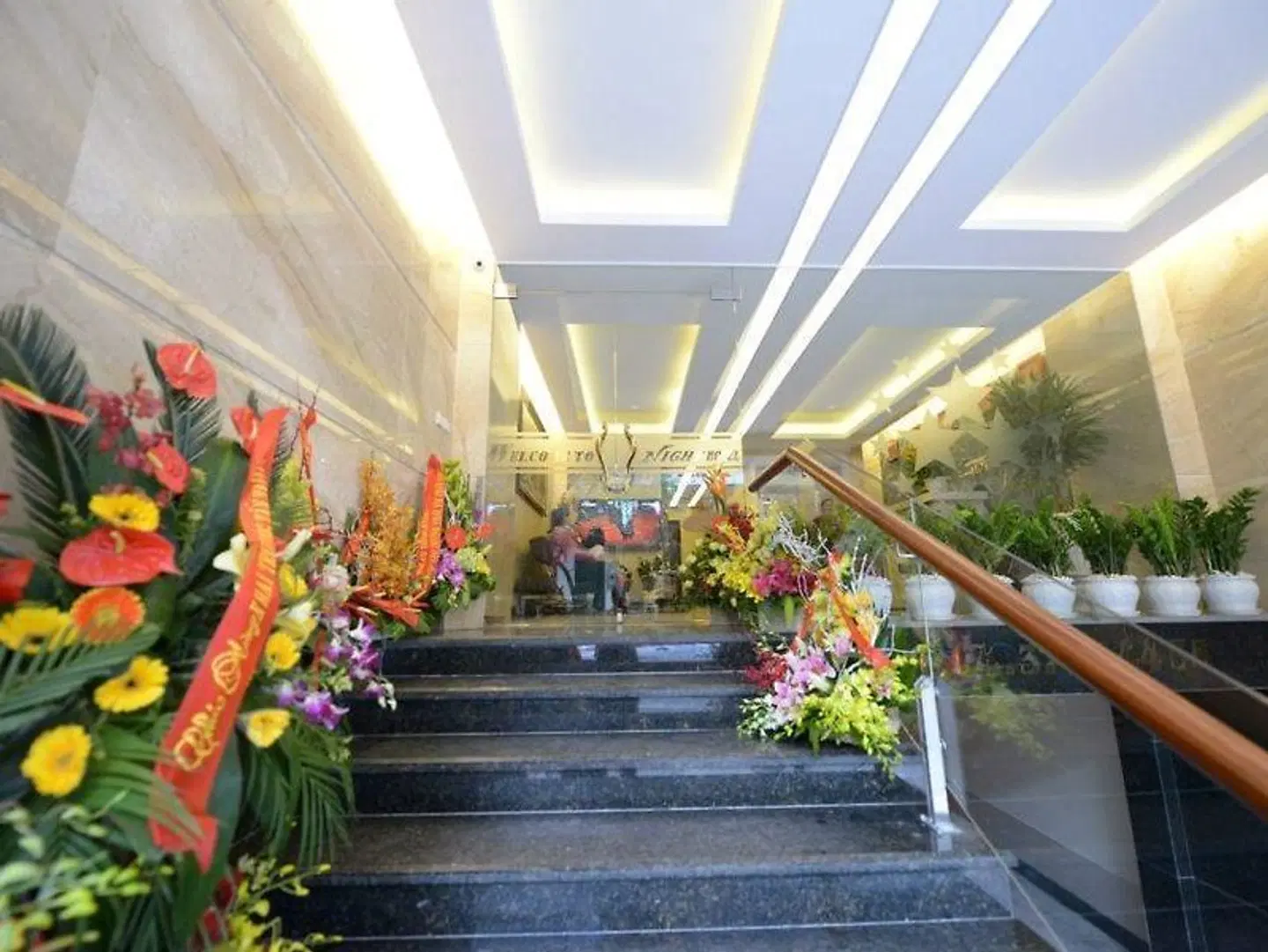 Night Hotel Garten