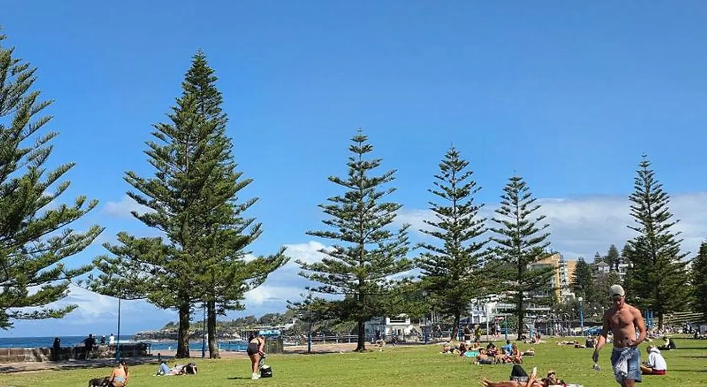 Coogee Beach House - Hostel Tiere