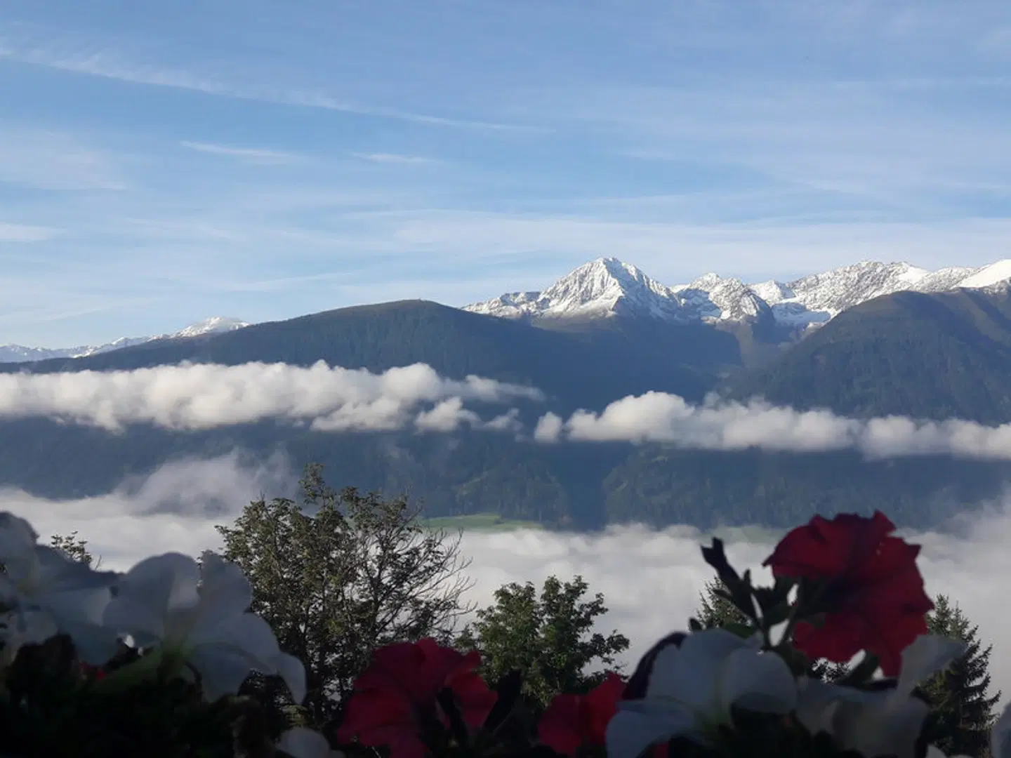 Reitherhof SPORTS_AND_LEISURE