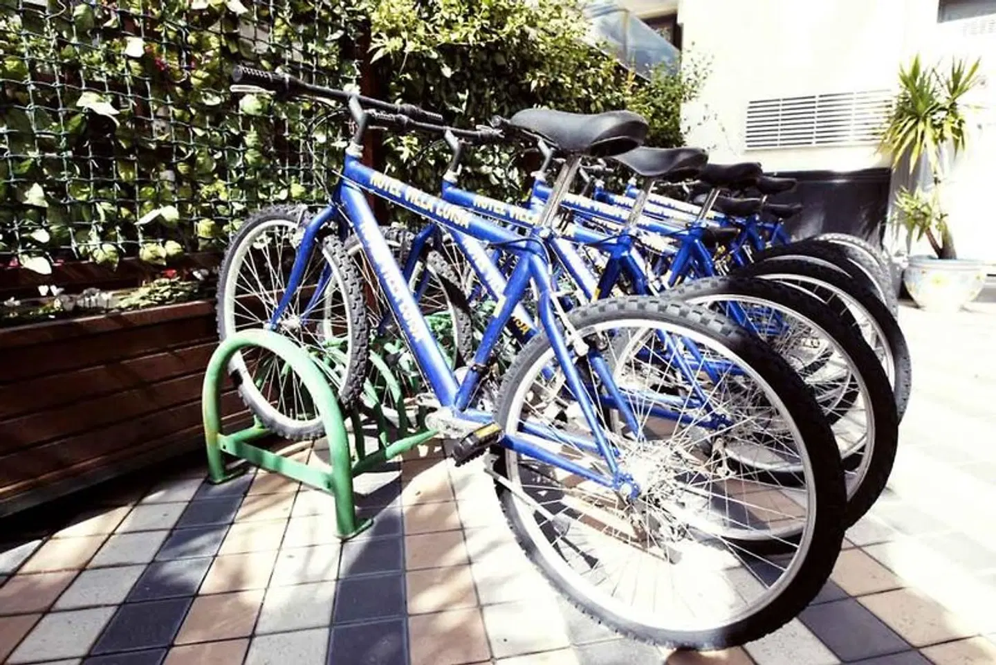 Villa Luisa SPORTS_AND_LEISURE