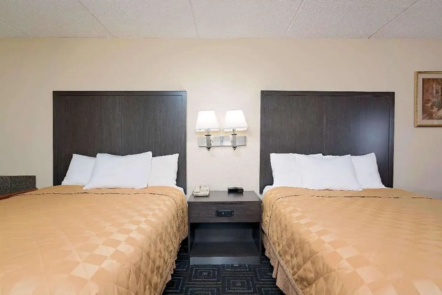 Days Inn by Wyndham Mounds View Twin Cities North ROOM_EXAMPLE