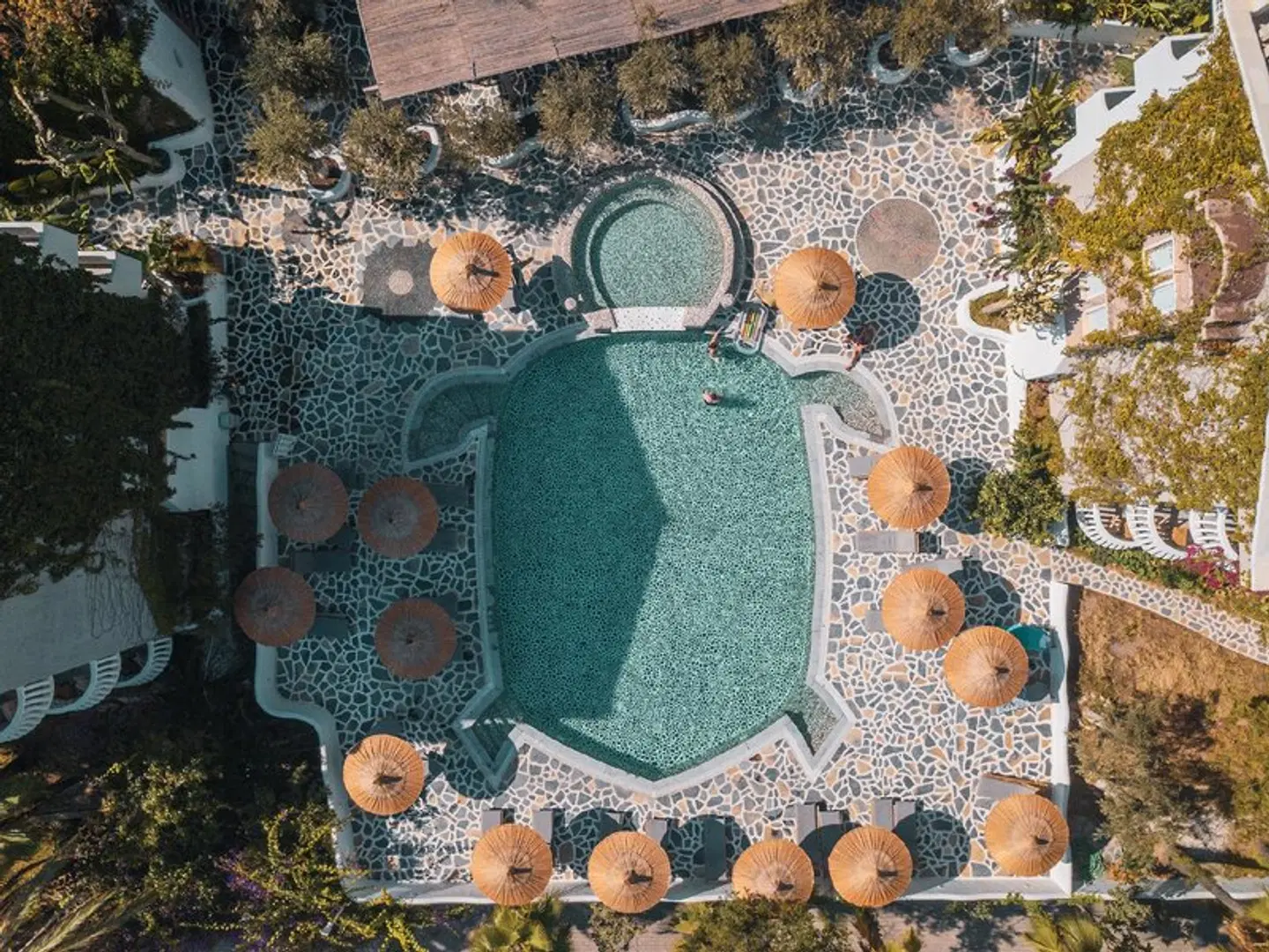 Flamingo Hotel Tiere
