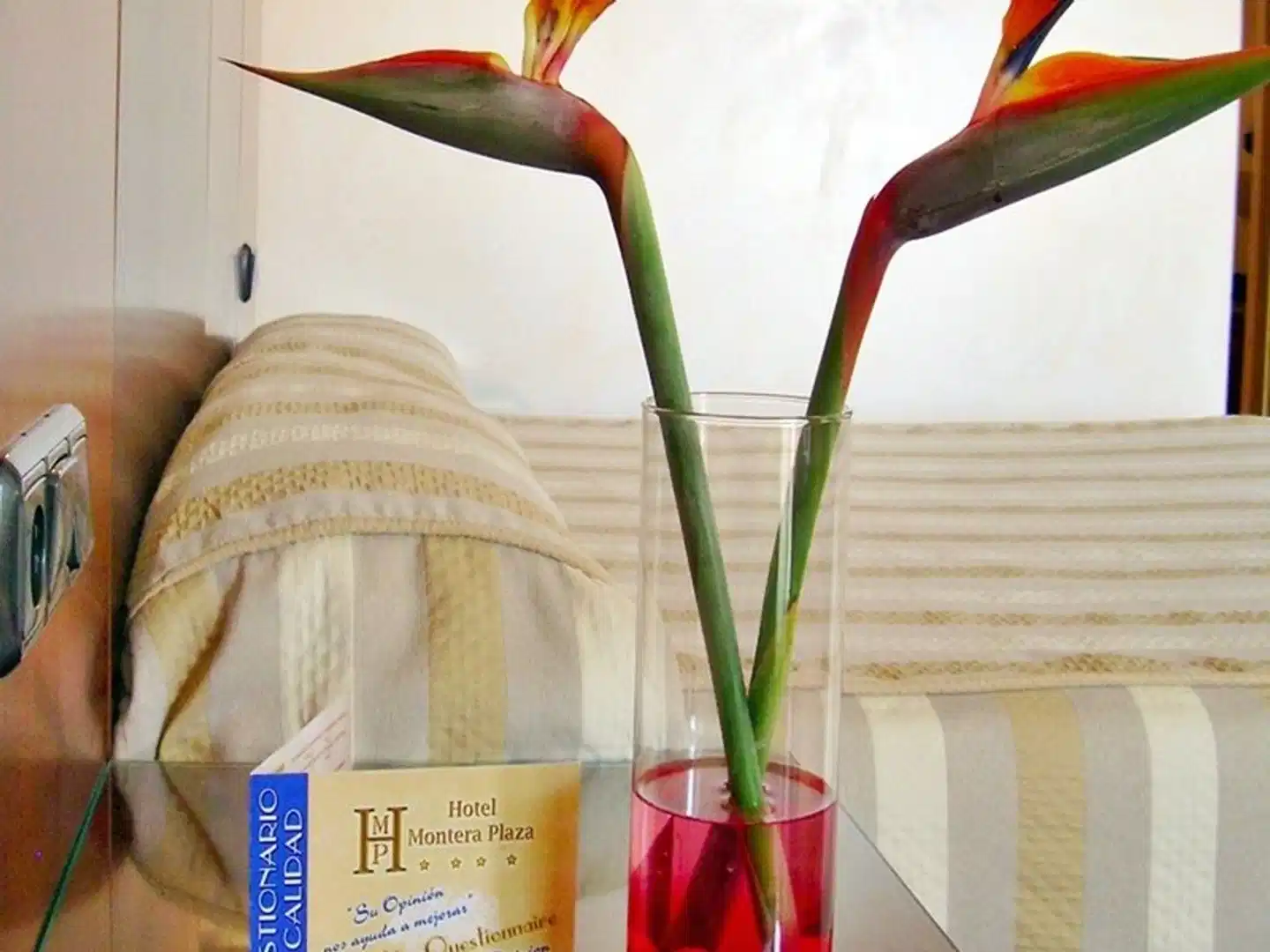 Montera Plaza Sport und Entertainment