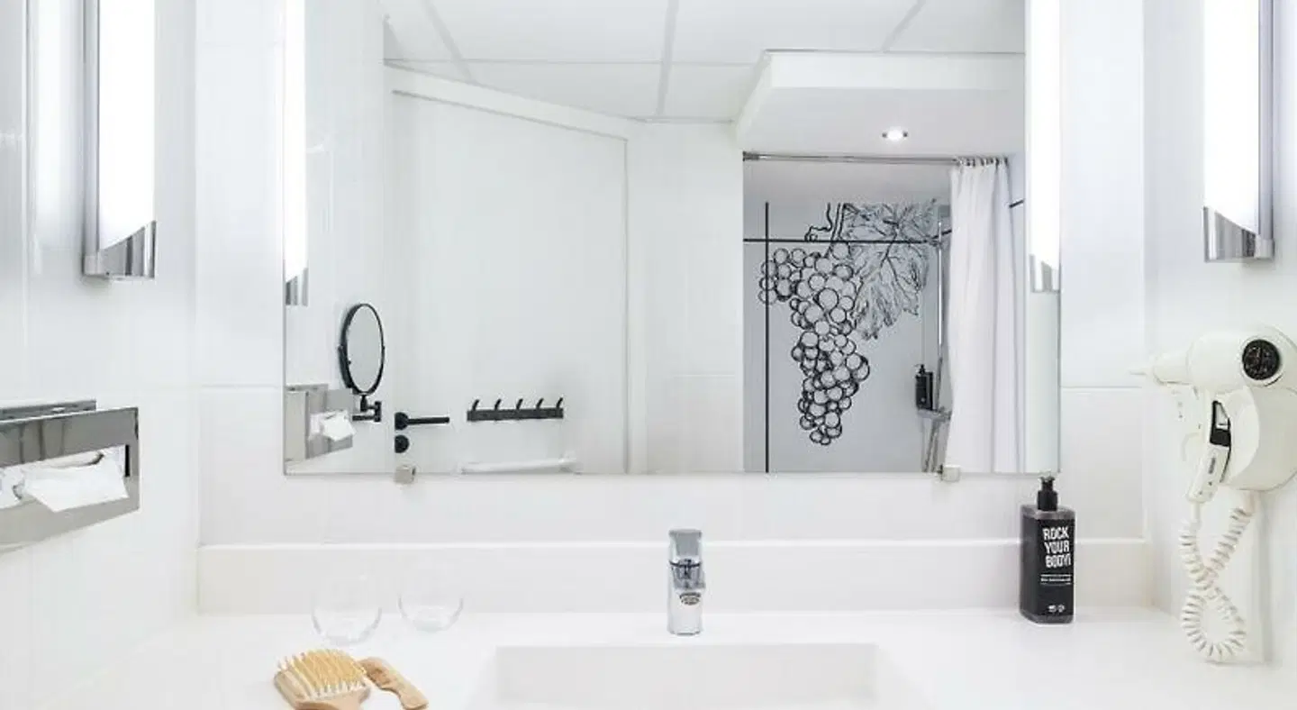 ibis Styles Cognac Badezimmer