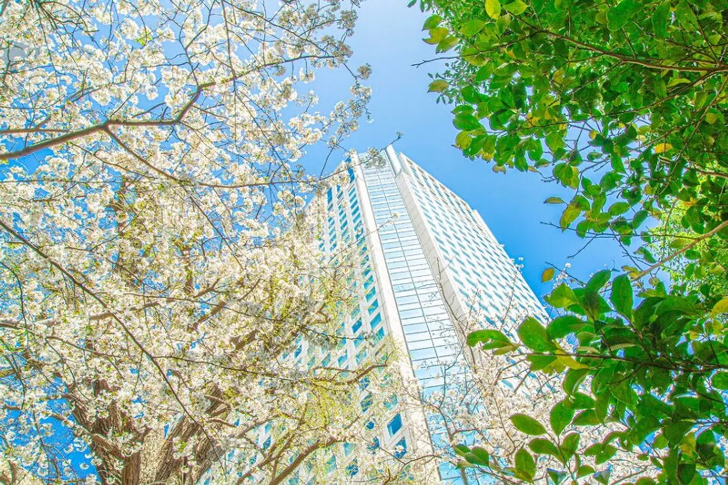 Shinagawa Prince Hotel EXTERIOR