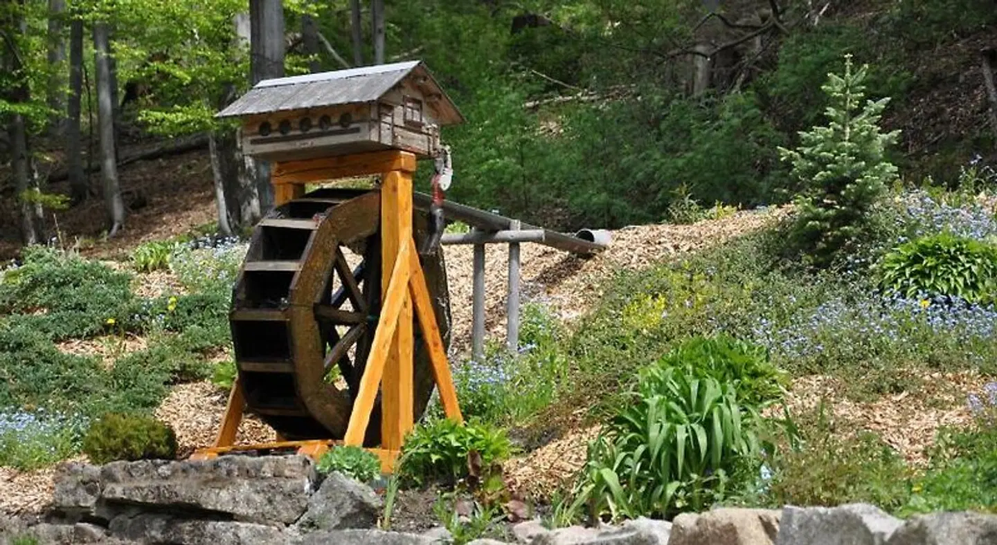 Waldmühle Garten